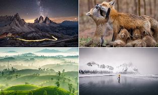 Nominator Lomba Foto Internasional, `the Sony World Photography Awards`